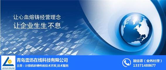 上海网站推广与计算机软硬件技术开发 雷迅在线的综合服务策略